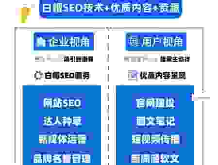 迈步者seo论坛里学到的SEO技巧真的好用吗？