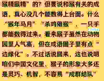 搜索淮南博客赛雷猴的技巧有哪些？让你的搜索更高效！