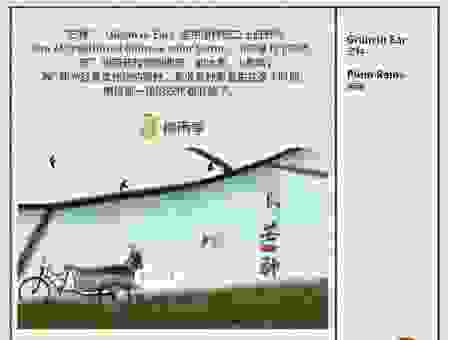 最常用的水稻的英文说法是什么？一看就会用的表达！