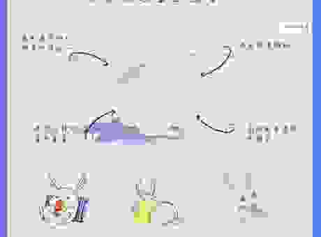 兔子战术到底是什么?新手也能快速掌握的打法秘诀