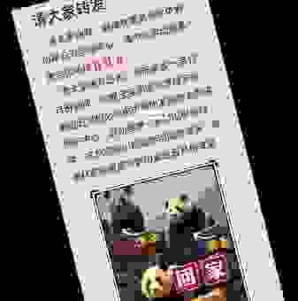 做了网络营销大熊猫点搜没效果？可能是你没用对方法