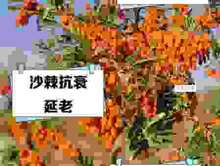 关于沙棘是什么东西的疑问 一文给你讲清楚