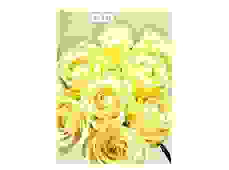 21朵白玫瑰的花语含义大全 让你送花更有心意