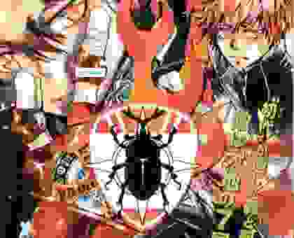 关于家庭教师第二季什么时候出？深度分析制作方透露的进度！