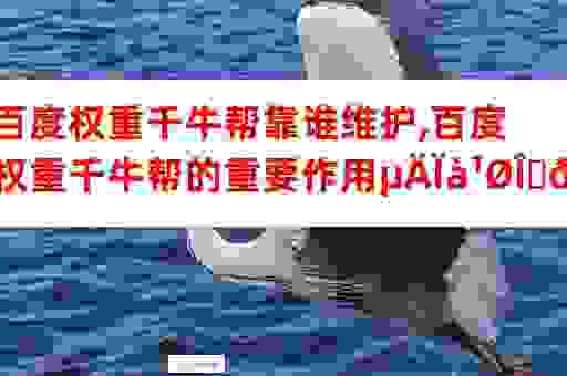 百度权重千牛帮真的有用吗？实际效果案例分享