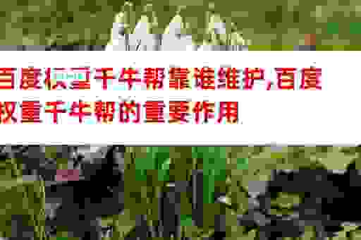 百度权重千牛帮真的有用吗？实际效果案例分享