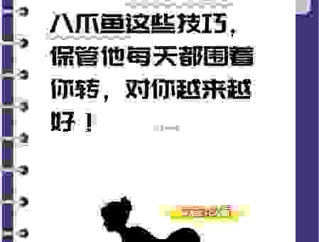 如何理解小趴菜什么意思？新人必备的解释指南！