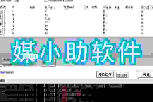 想用seotrad软件？这几个实操技巧你一定要知道！