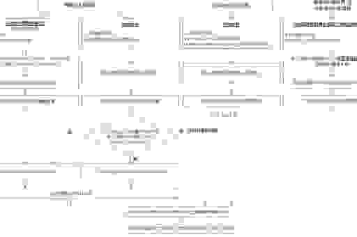 新手如何学习狼雨seo教程？这份指南让你少走弯路