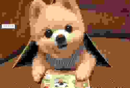 小俊介是什么东西？新手快速了解这个潮流玩具！