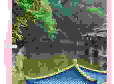 扬州有什么好玩的地方推荐?本地人带你玩转古城!