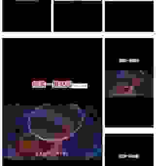 什么是四次元空间?和我们生活的维度有什么不同?