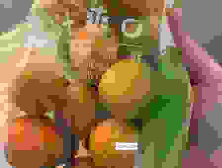 想买绿s减肥胶囊去哪里买？正品渠道和价格查询