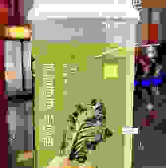 绿瘦减肥药效果怎么样？亲身体验告诉你真相