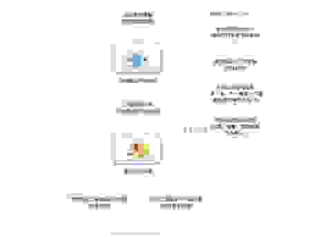 天蝎网站建设流程复杂吗?新手也能快速搞懂的建站步骤!