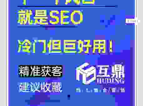 大连SEO皮皮有哪些成功案例？帮你找到靠谱的本地服务商