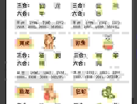 鸡口牛后打一个正确生肖？专业解析让你瞬间明白答案！