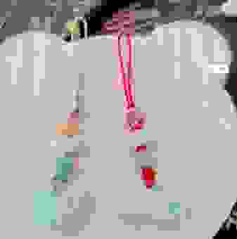 鸭子开过什么准确生肖？看看哪个生肖的概率会更高！