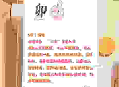 鸭子开过什么准确生肖?看看哪个生肖的概率会更高!