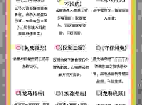 过目不忘脑里藏是指哪个生肖？为您详细解答这个生肖谜语