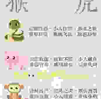 脑子里空空如也是指什么生肖?带你了解生肖背后的内涵