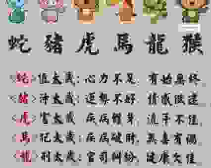 金枝玉叶打一准确生肖？深度解析谜底背后的生肖！