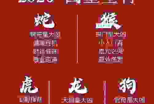 倏来忽往指什么生肖数字？这几个生肖的可能性非常大