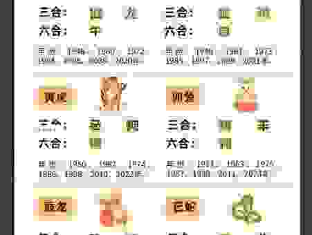 倏来忽往指什么生肖数字？这几个生肖的可能性非常大