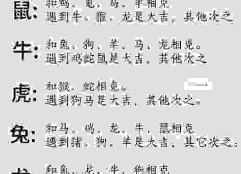 作金石声打一最佳生肖是哪个？专家为你详细解读背后的缘由！
