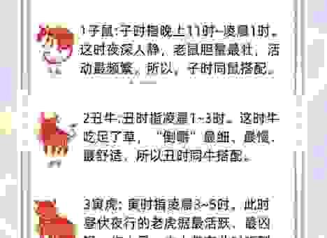 童心未泯指最准确生肖是谁？深度分析为什么是这个生肖！