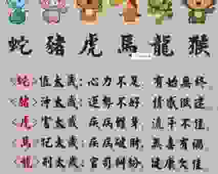 无牵无挂打一最佳动物生肖，这三个动物最有可能