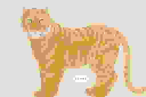 无牵无挂打一最佳动物生肖，这三个动物最有可能