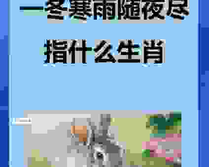 雨后春笋是指什么生肖？详解谜面背后的生肖文化内涵！