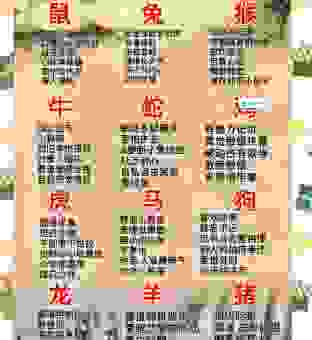 到底黄粱一梦是什么生肖？看完这些生肖性格就知道