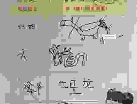 腹背之毛打一生肖是什么？这个生肖的谜底解析！