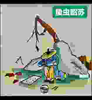 蛰虫昭苏是什么生肖？带你了解这个词背后的生肖秘密！