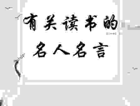 故作姿态指什么生肖最好？为你深度解析这个谜题！