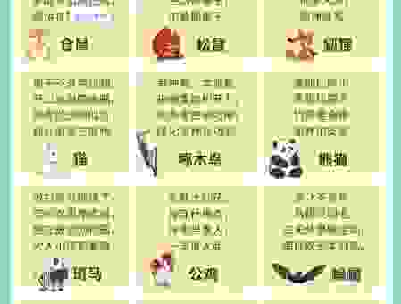 沐猴而冠打一正确生肖的谜底解析，一分钟让你明白原因