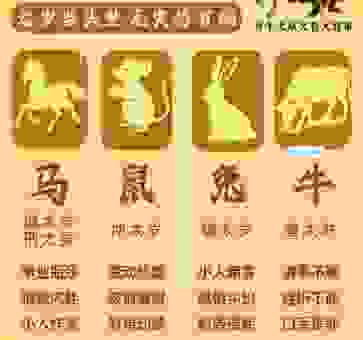 豆重榆瞑代表是指什么生肖？看完分析你就彻底明白了！