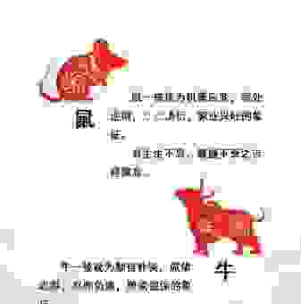 连更星夜是什么生肖？生肖文化背后的含义深度解读