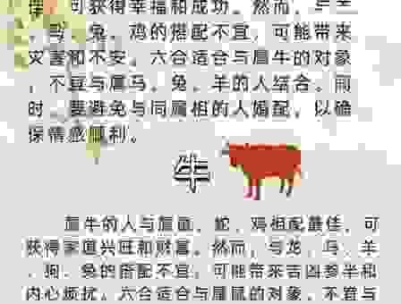 连更星夜是什么生肖？生肖文化背后的含义深度解读