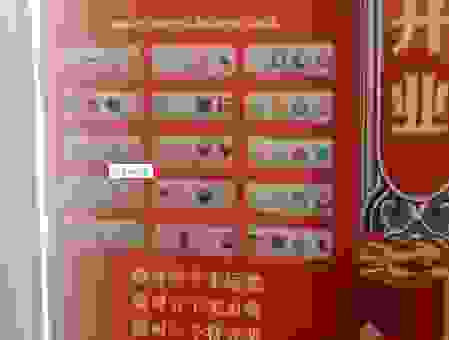 见兔顾犬打一个生肖的正确答案，看看你是不是猜对了！