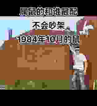 鼠凭社贵是什么意思？背后有哪些深刻的社会含义？