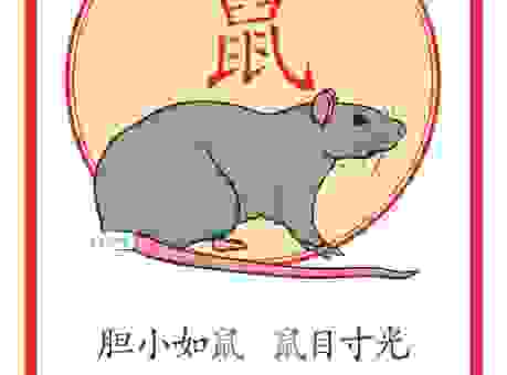 左宜右有打一个正确的生肖？带你领略成语生肖的魅力！