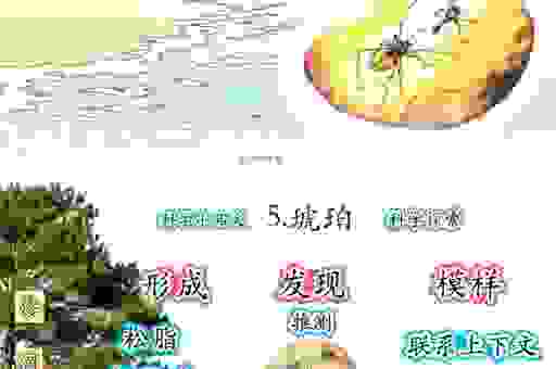 琥珀拾芥的意思怎么解释？老教师带你学习成语背后知识！