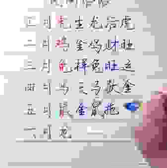 龙行虎步是什么生肖代表？带你深入了解十二生肖知识