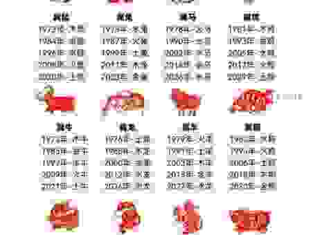 叹为观止是什么生肖？揭晓这个生肖的真实身份！