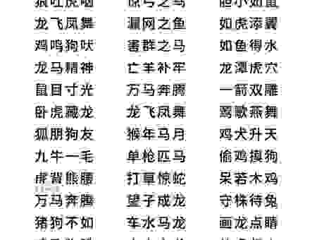 成语背道而驰是指什么生肖？其实答案就在这几个属性里！