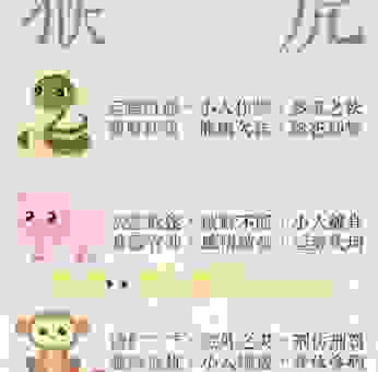 慢慢吞吞的动物是什么生肖？盘点十二生肖谁最迟缓！