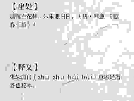 朱朱白白是什么意思？网络热梗背后隐藏的真实含义